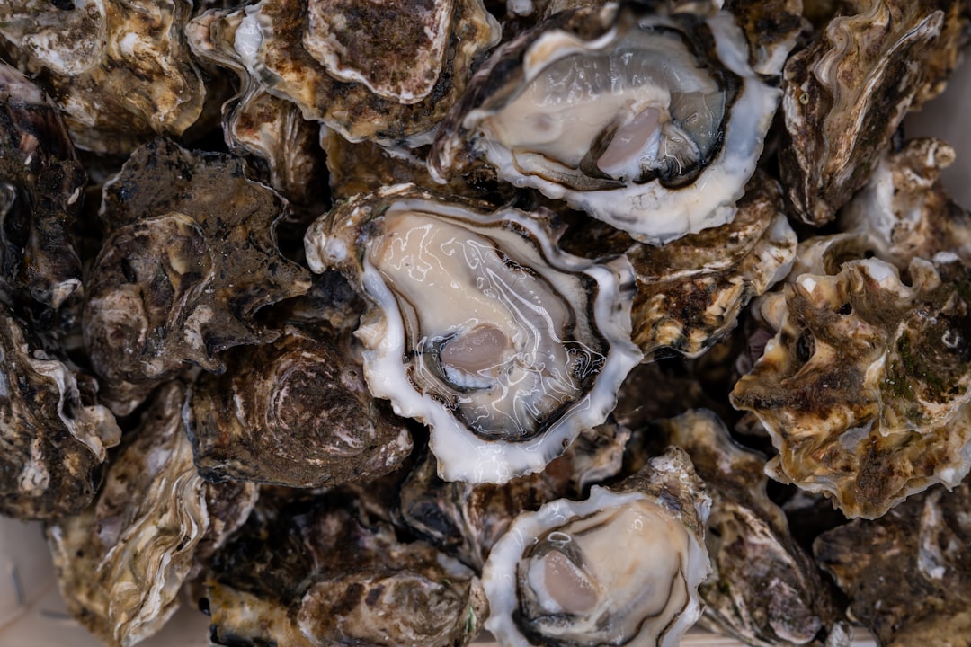 Photo Oyster platter